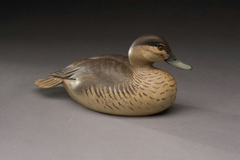 Ward Brothers – Ruddy Duck Hen – 2009