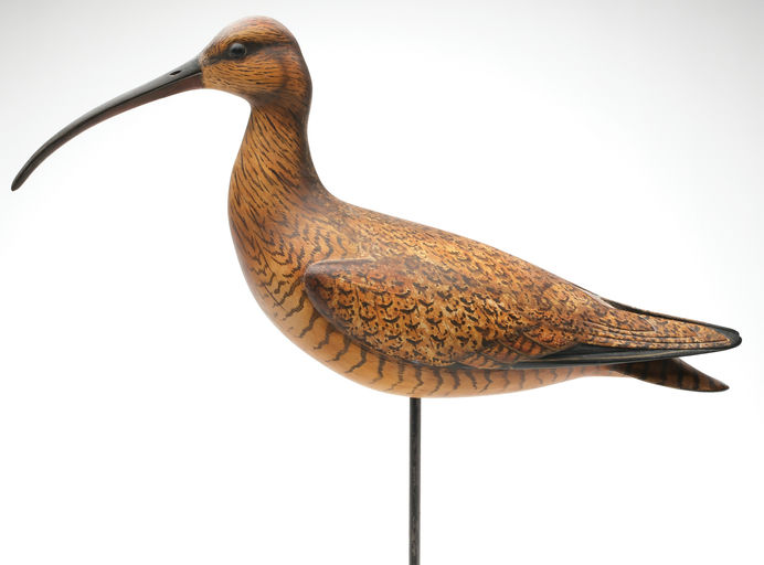 Bill Gibian – Curlew – 2026