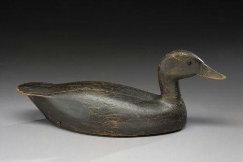 C. William Chrysler – Black Duck – 2007