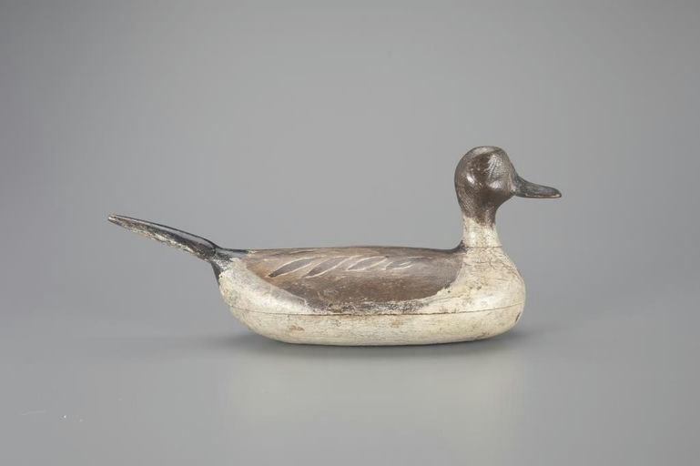 Samuel Hockings Sr. – Pintail Drake – 2024