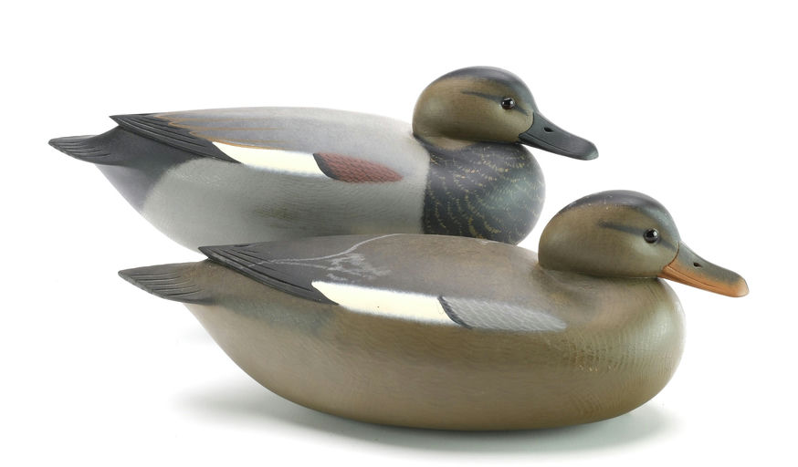 Rick Brown – Pair of Gadwall – 2024