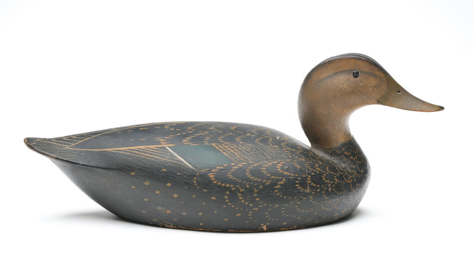 Ward Brothers – Black Duck – 2026