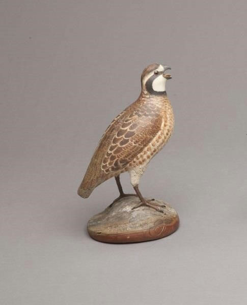 Frank Finney – Bobwhite Quail – 2011