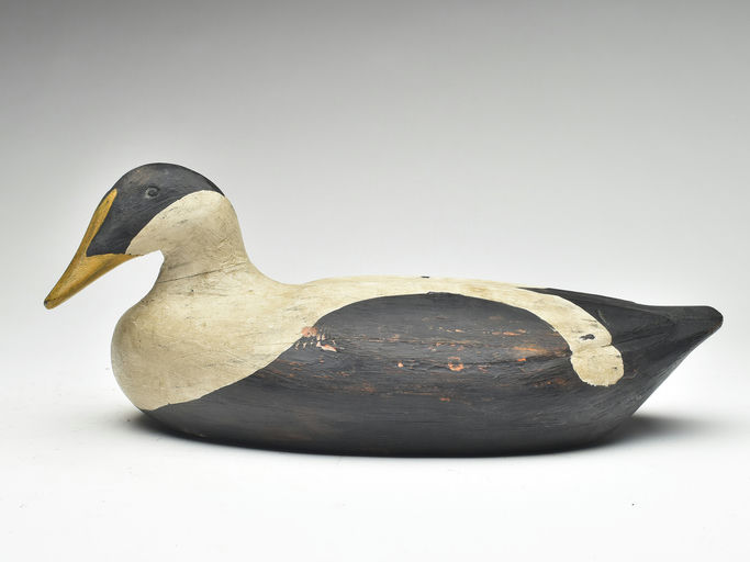 Gus Wilson – Eider – 2023