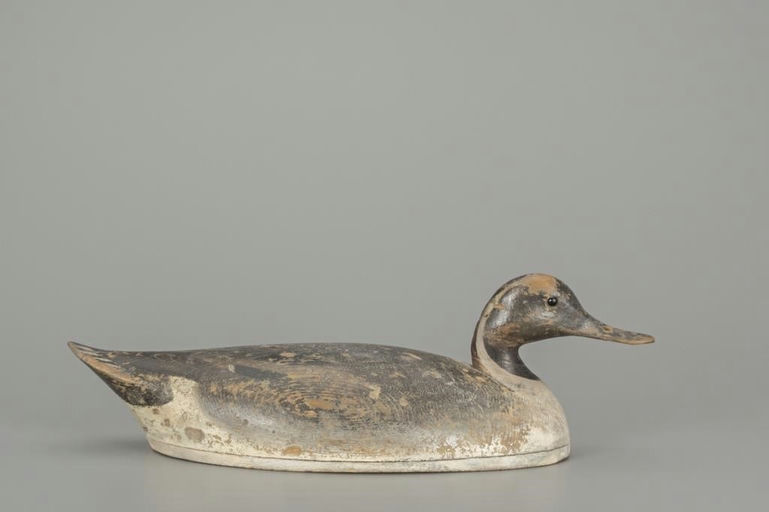 George Warin – Pintail Drake – 2018