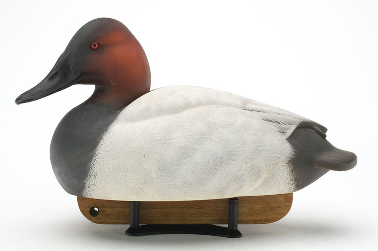 Keith Mueller – Canvasback – 2024