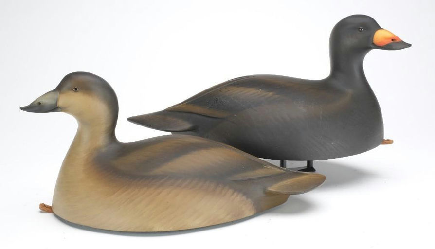 Sean Sutton – Pair of Scoter – 2023