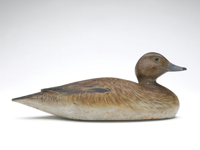 Elmer Crowell – Widgeon Hen – 2024