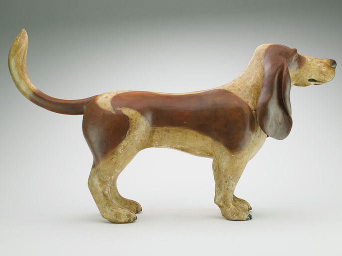 Frank Finney – A full size basset hound with wonderfully droopy ears – 2024