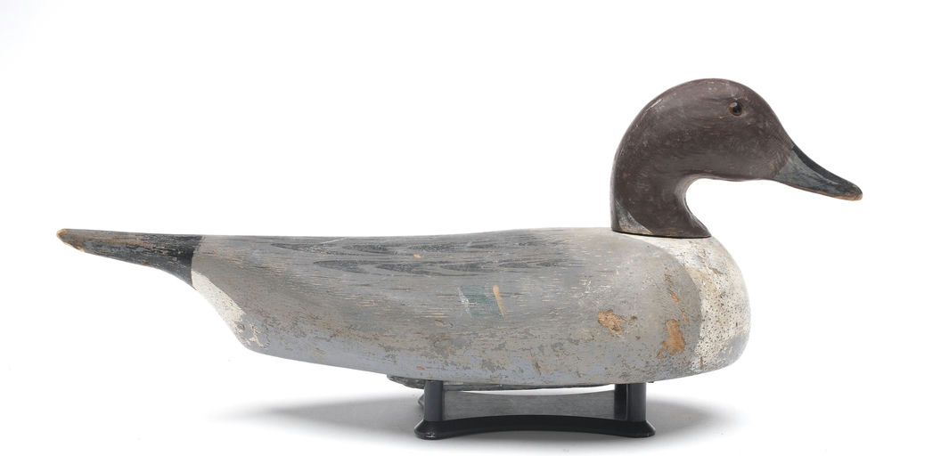 Bud Peters – Pintail – 2026
