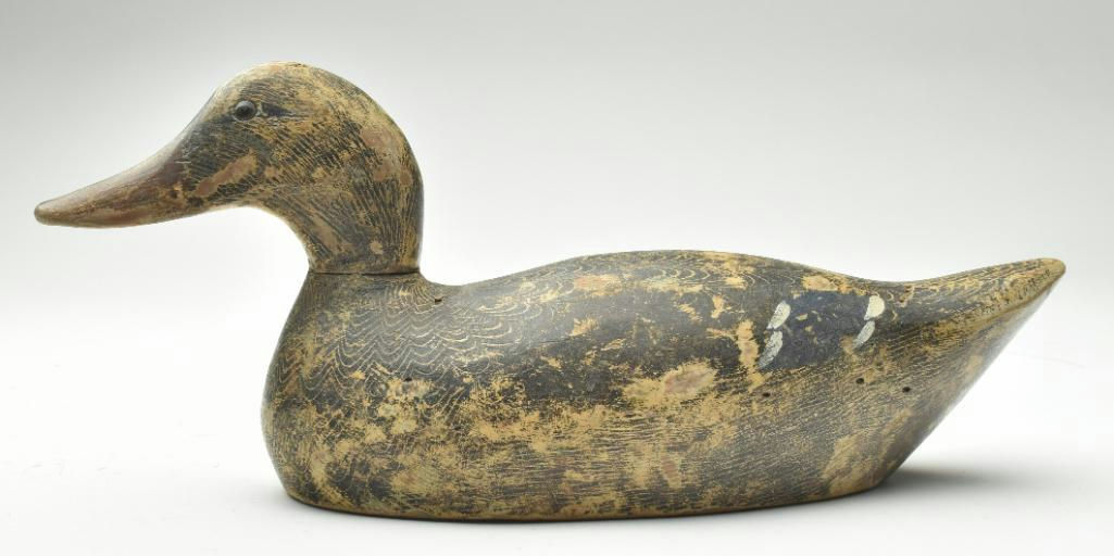 Evans Decoy Company – Mallard – 2023