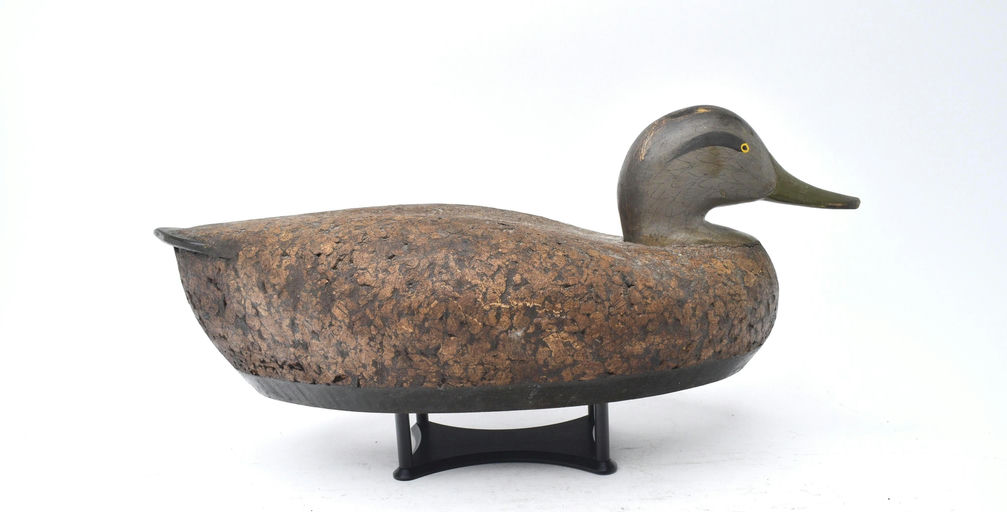 R. Madison Mitchell – Cork Black Duck – 2025