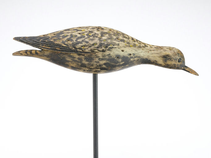 Elmer Crowell – Golden Plover – 2025