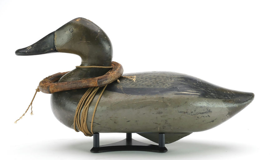 R. Madison Mitchell – Canvasback Hen – 2024