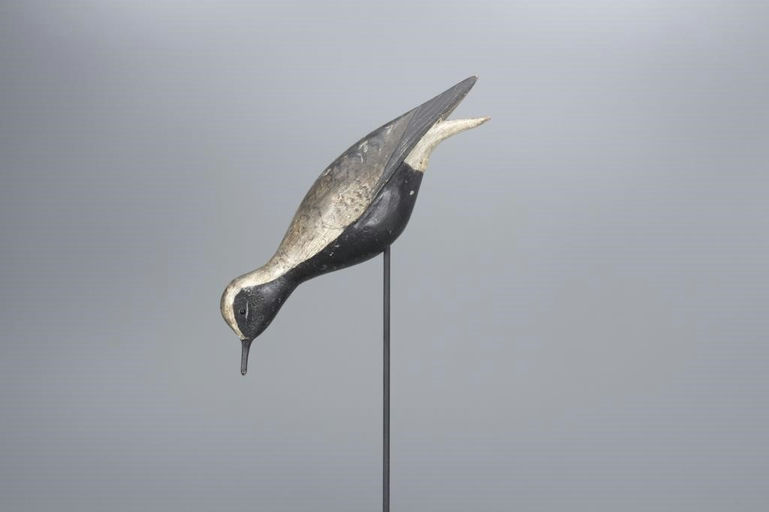 Elisha Burr – Feeding Black Bellied Plover – 2017