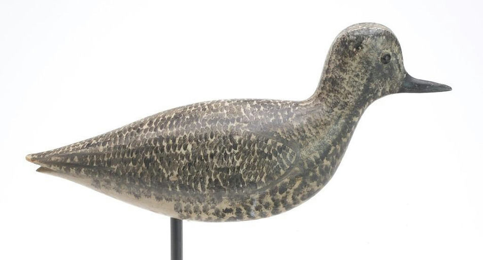 George Boyd – Black Bellied Plover – 2023