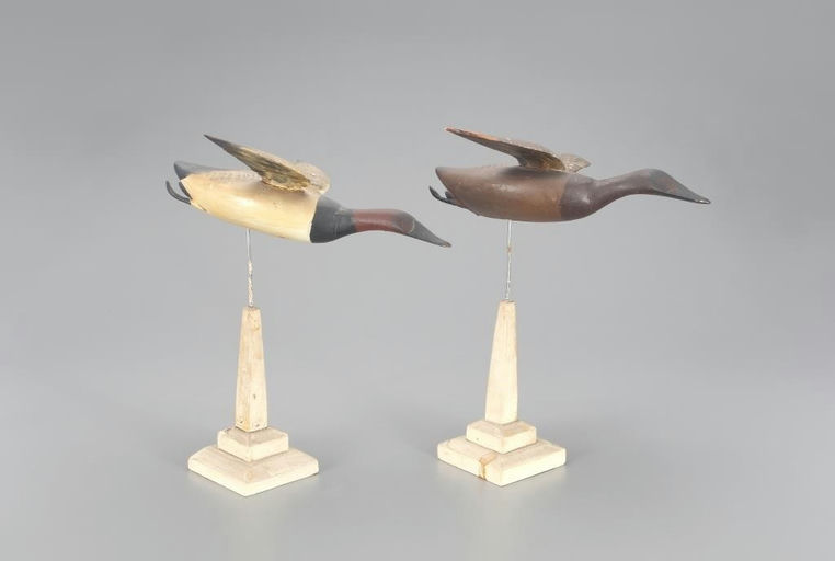 John Glenn – Flying Canvasback Pair – 2022