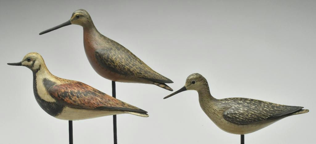 Bill Gibian – Shorebird – 2023
