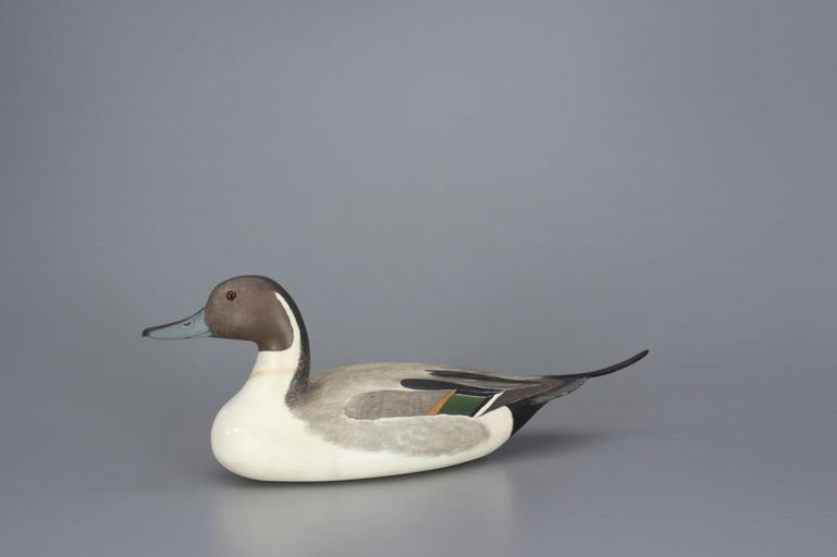 Corb Reed – Pintail Drake – 2017