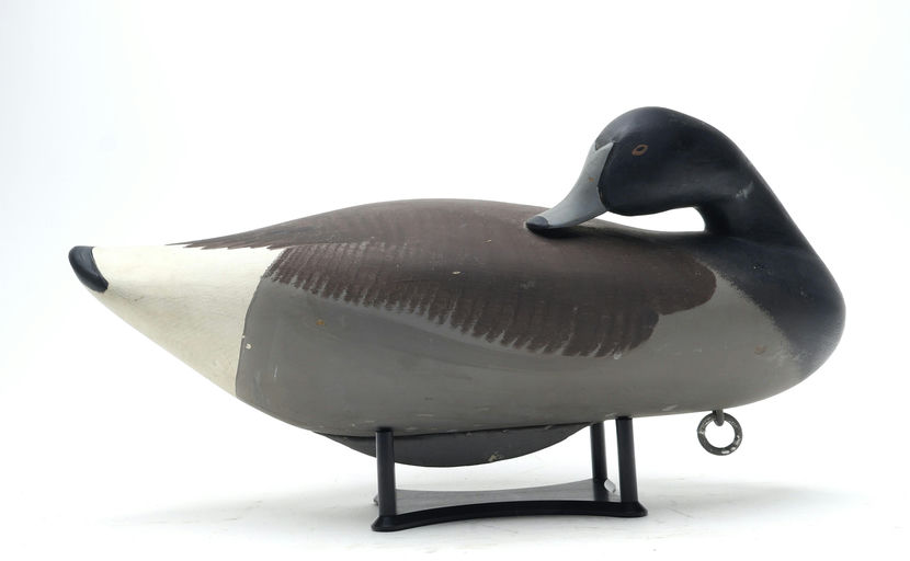 R. Madison Mitchell – Preening Brant – 2026