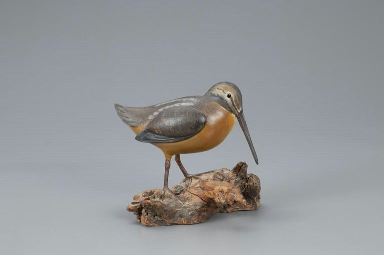 Lloyd Johnson – Dropped-wing Woodcock – 2020