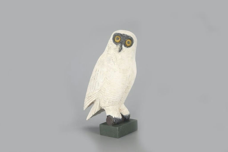 Frank Finney – Snowy Owl – 2023