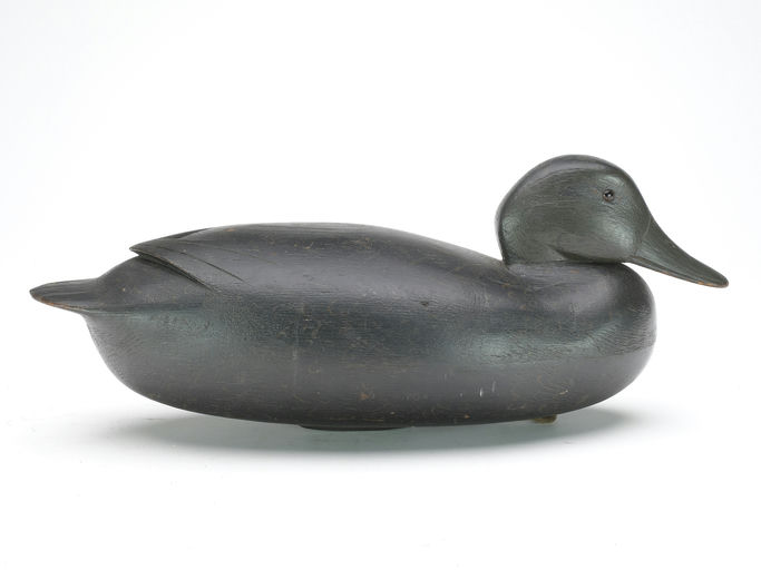 Joe King – Black Duck – 2023