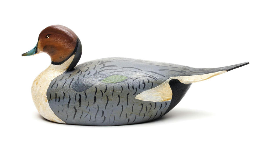 Ward Brothers – Pintail – 2026