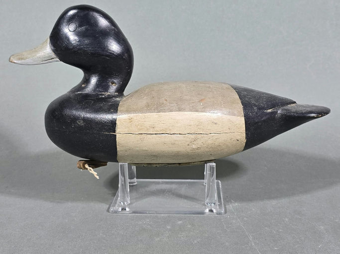 Bob Seabrook – Scaup – 2026