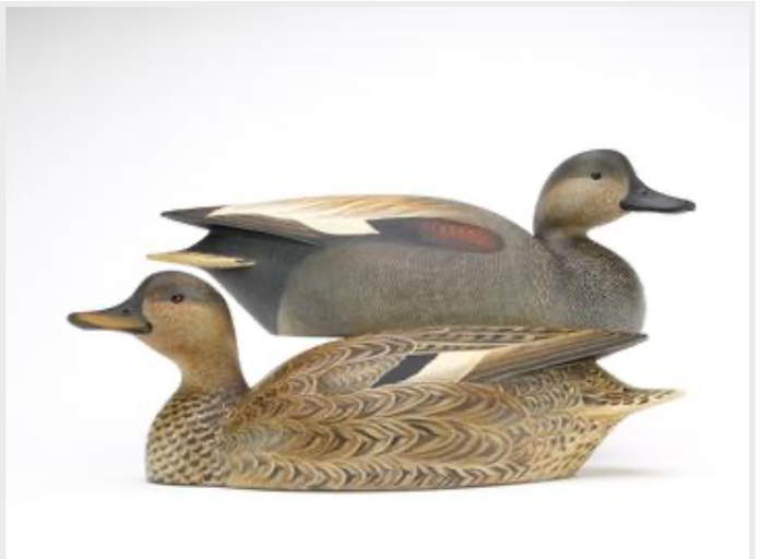 Marty Hanson – Gadwall