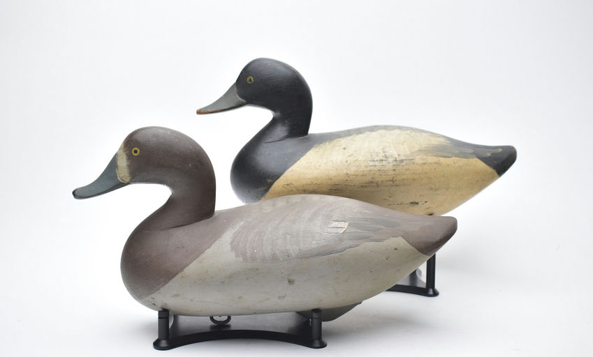 R. Madison Mitchell – Pair of Bluebills – 2025