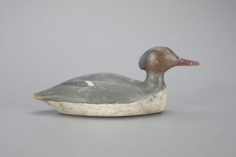 Charles Morey Lewis – Rare Red-Breasted Merganser – 2023