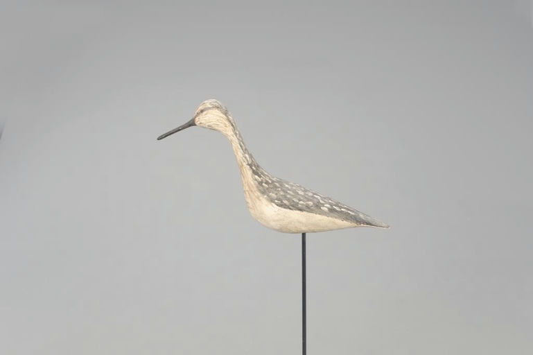 Cigar Daisey – Yellowlegs – 2021
