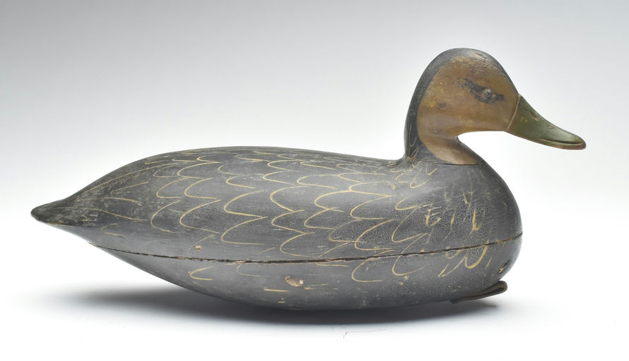 Harry V. Shourds – Black Duck – 2023