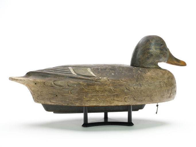 Ben Schmidt – Mallard Hen – 2024