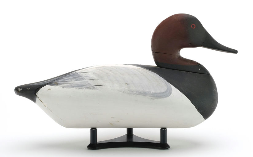 John Daddy Holly – Canvasback Drake – 2024