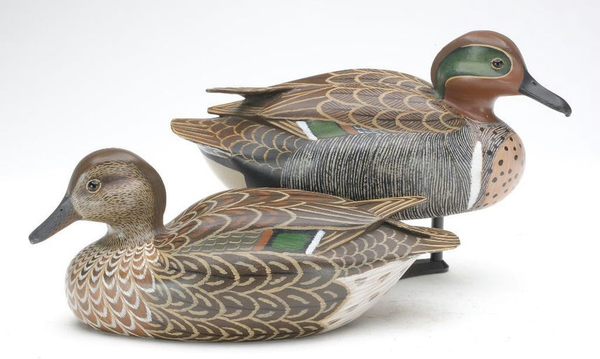 John McLoughlin – Green-winged Teal – 2023