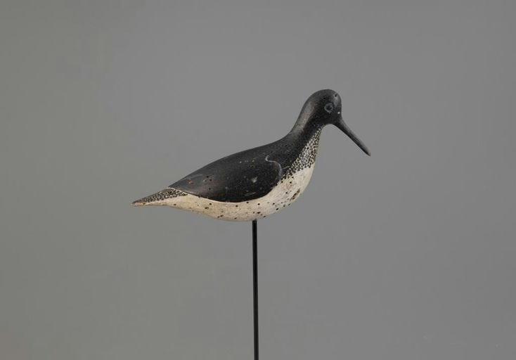 Verity Family – Yellowlegs – 2025