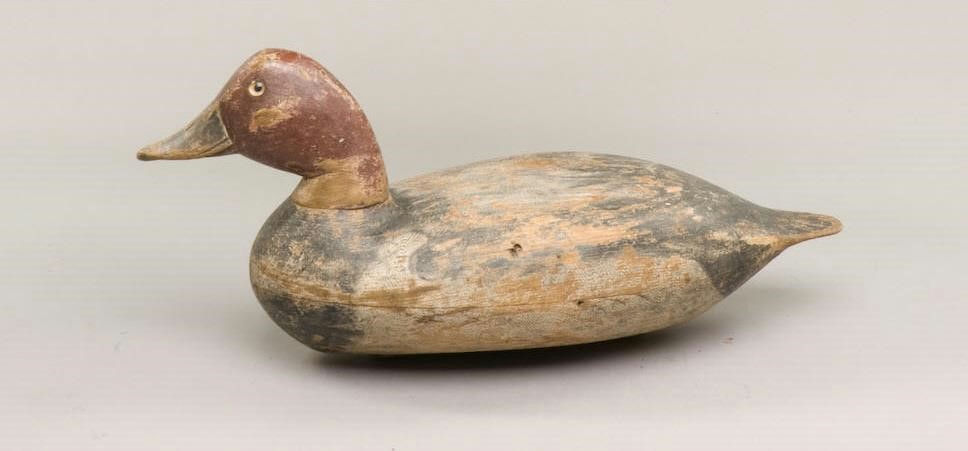 Robert Elliston – Redhead Drake – 2009