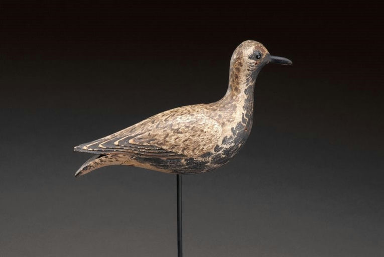 Elmer Crowell – Black-Bellied Plover – 2012