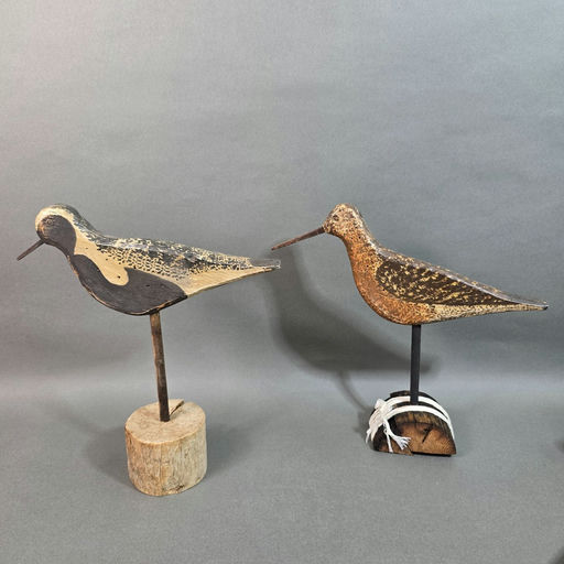 Steve Morey – Shorebird – 2026