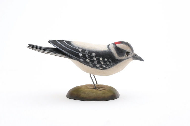 Frank Finney – Downy woodpecker – 2024