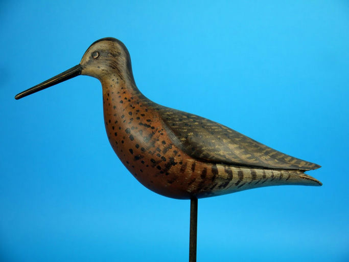 David Rhodes – Dowitcher – 2026