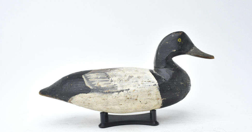 Doug Jester – Scaup – 2025