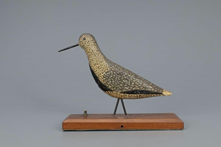Thomas Gelston – Cork Dunlin – 2019