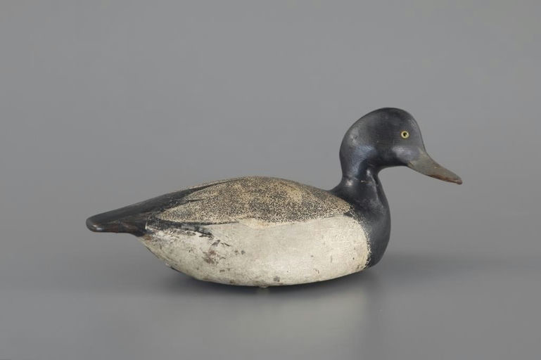 Ward Brothers – Oversize Broadbill Drake – 2025