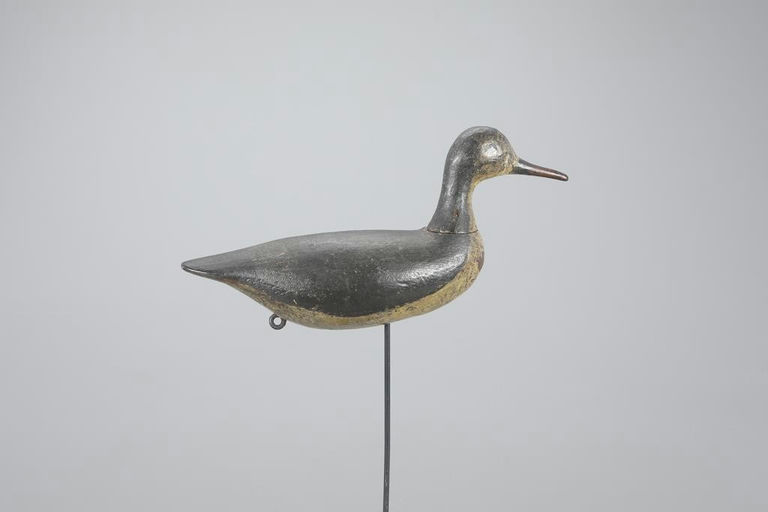 Thorn Rig – Early Root-head Shorebird – 2023