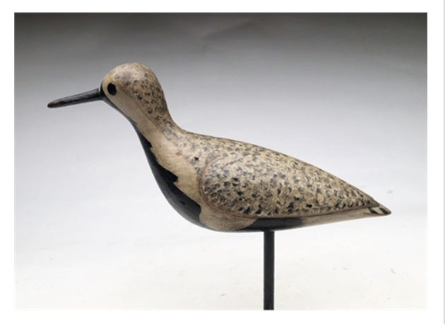 Mark McNair – Black Bellied Plover – 2020