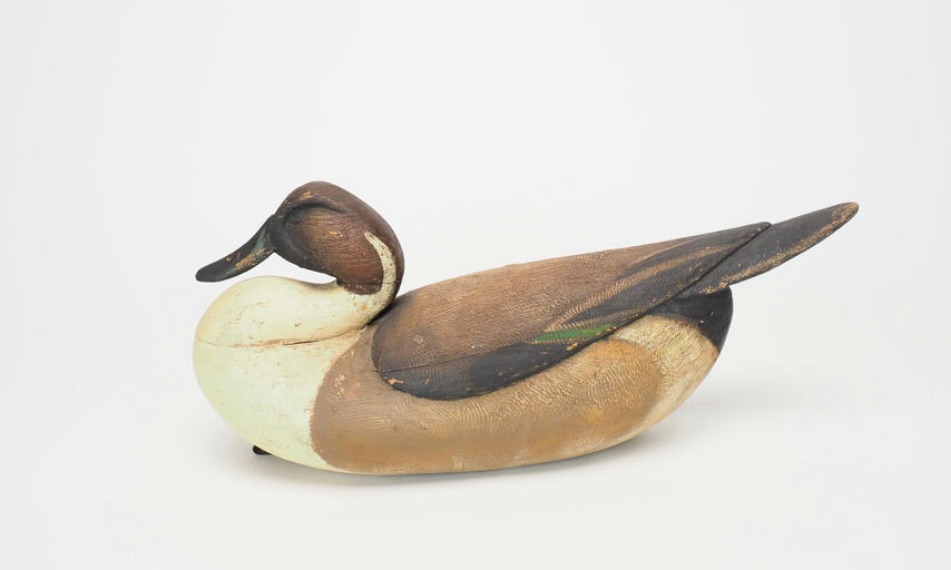 R.D. Wilson — Pintail Drake