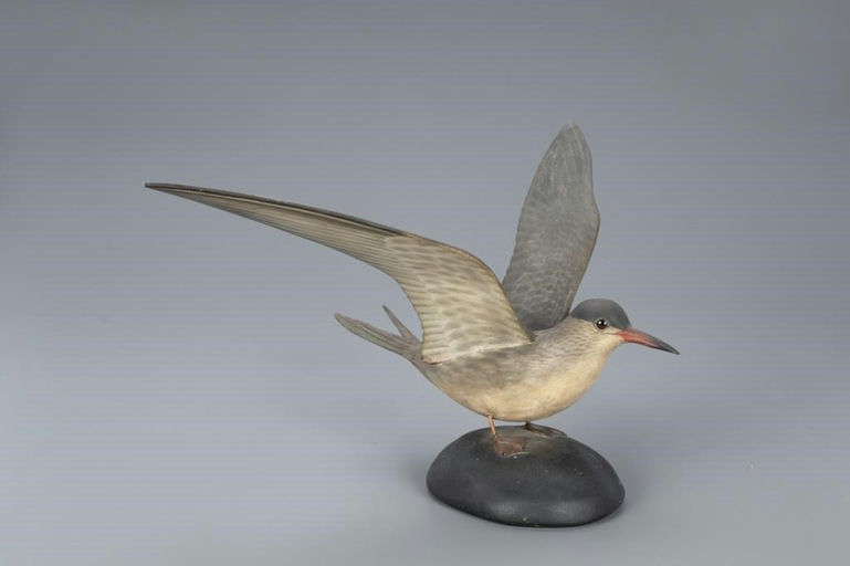 Elmer Crowell – Alighting Tern – 2020